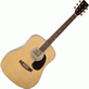 Акустическая гитара Julia WG-41/3
