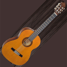 Классическая гитара Valencia CG-160w/b