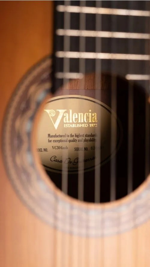 Классическая гитара Valencia VC314ASB